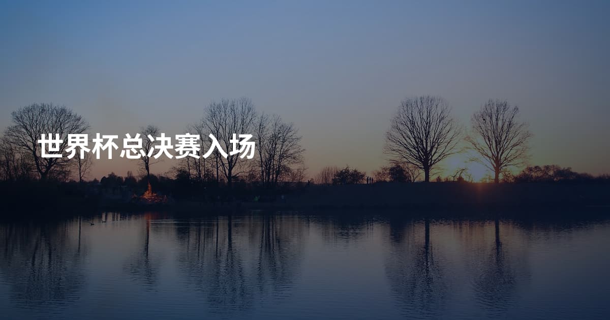 世界杯总决赛入场