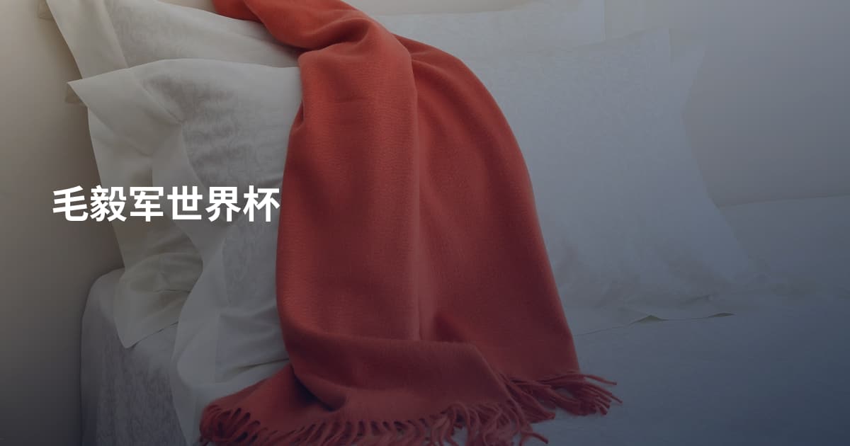 毛毅军世界杯