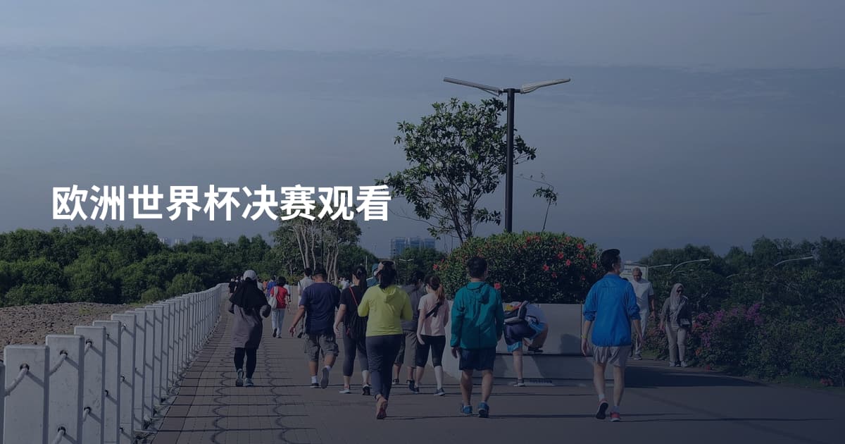 欧洲世界杯决赛观看