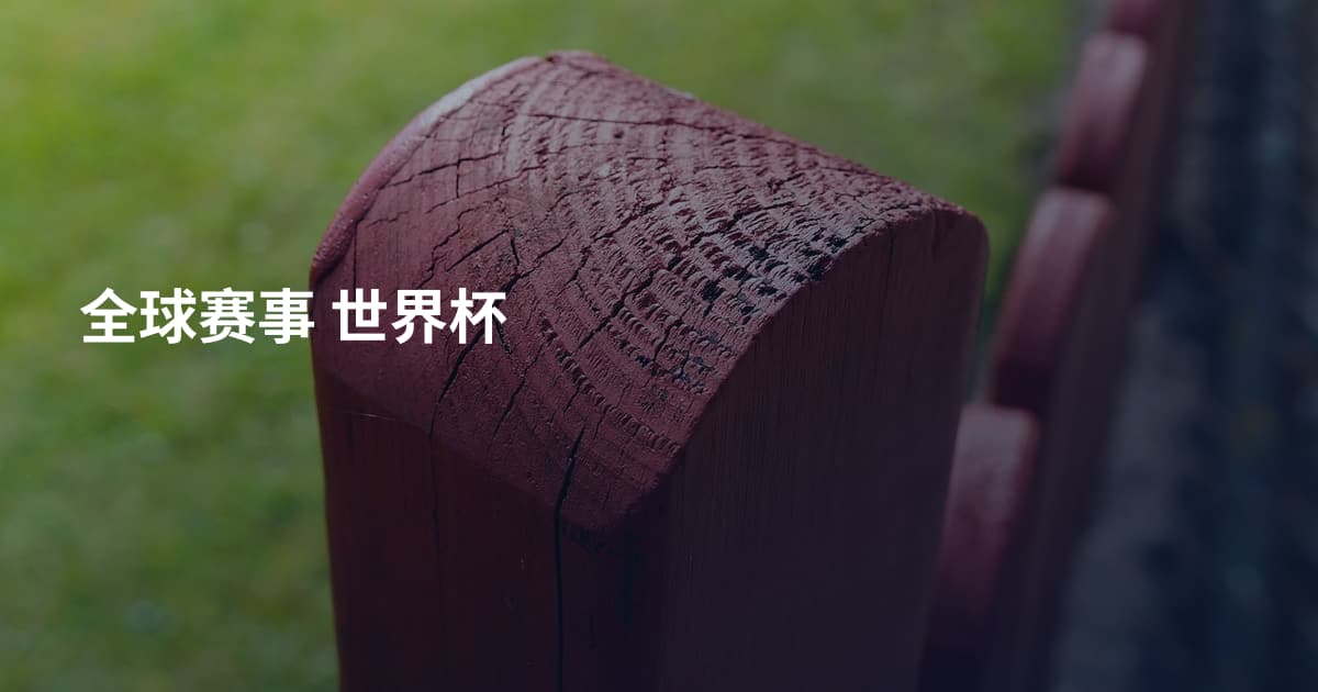 全球赛事 世界杯