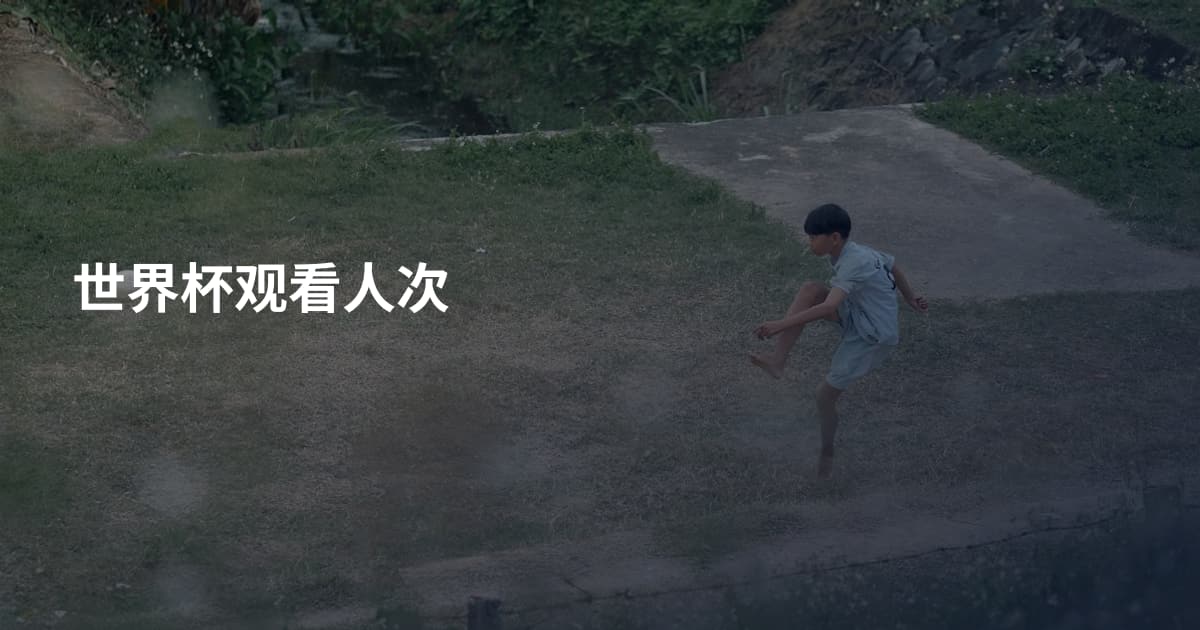 世界杯观看人次