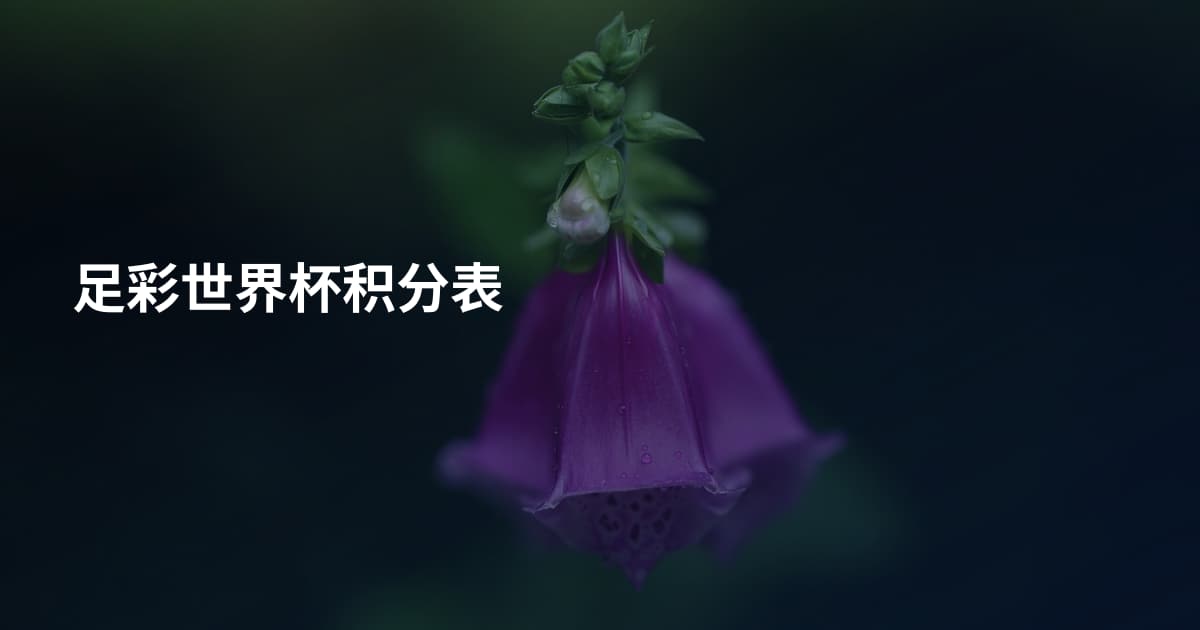 足彩世界杯积分表