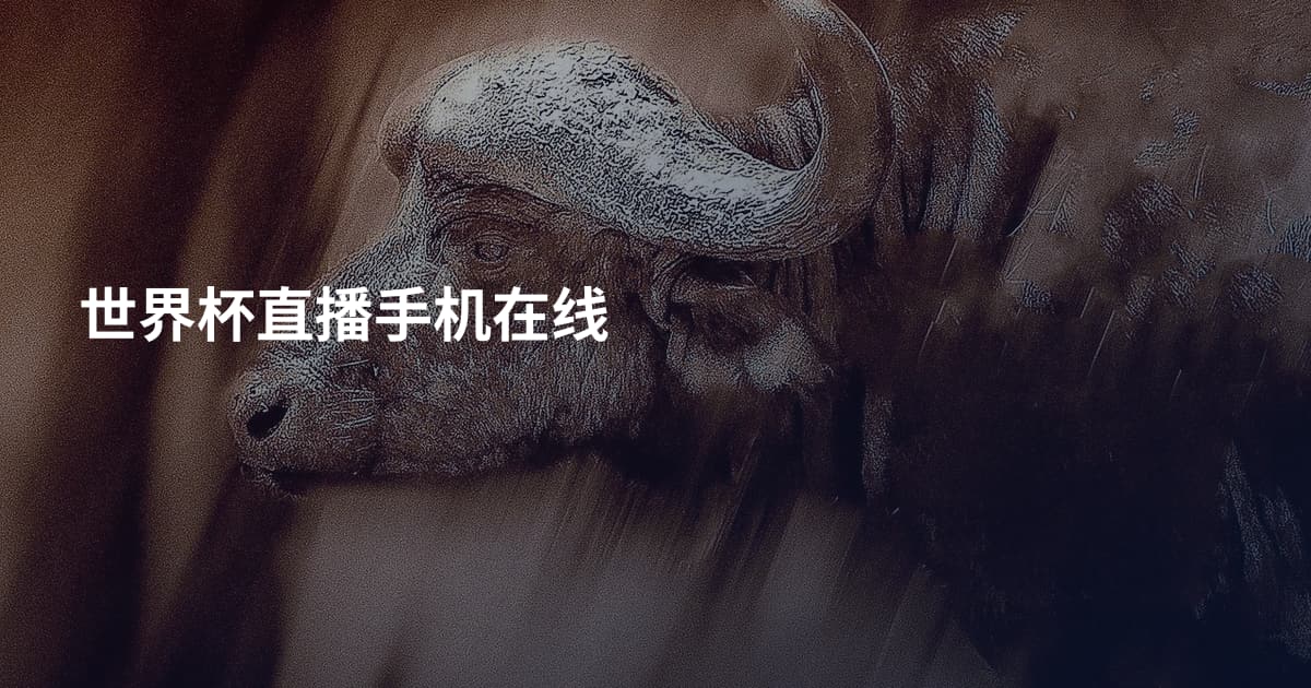 世界杯直播手机在线