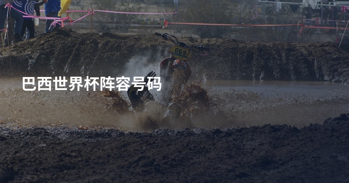 巴西世界杯阵容号码