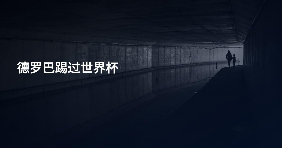 德罗巴踢过世界杯