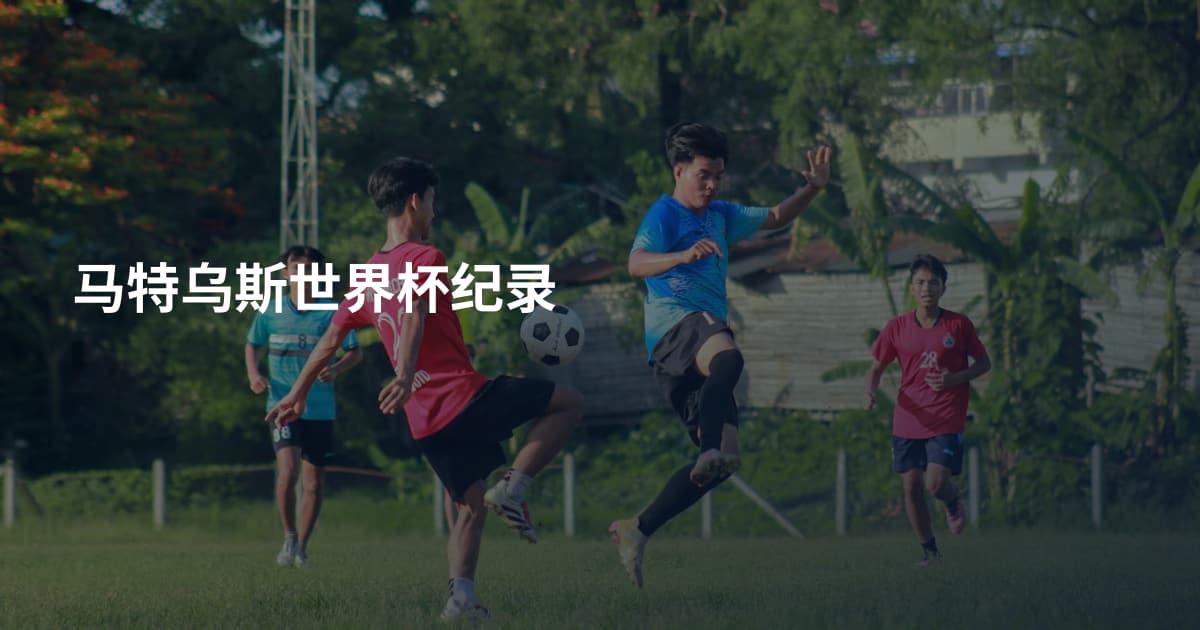 马特乌斯世界杯纪录