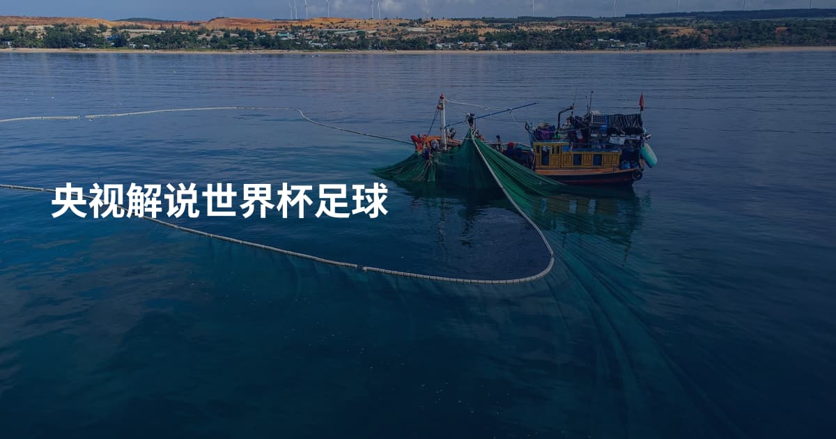央视解说世界杯足球