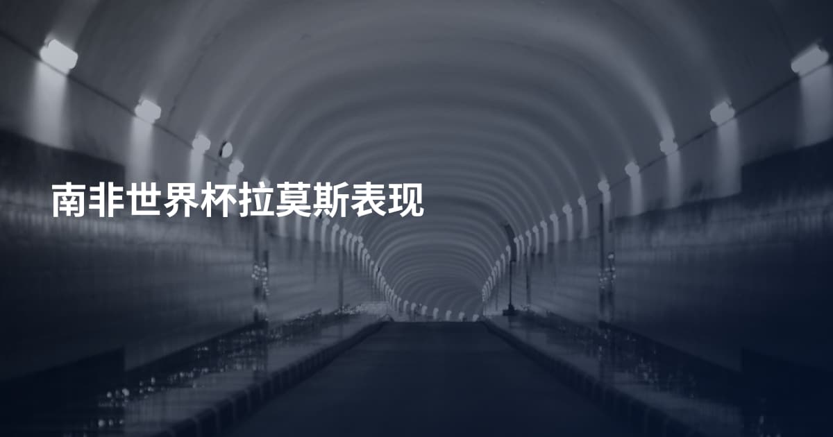 南非世界杯拉莫斯表现