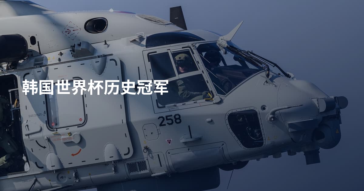 韩国世界杯历史冠军