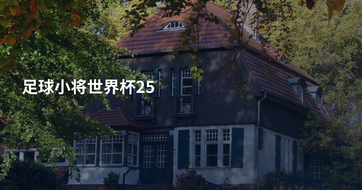 足球小将世界杯25