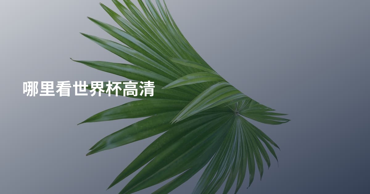 哪里看世界杯高清