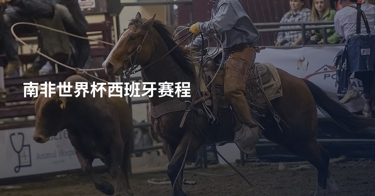 南非世界杯西班牙赛程
