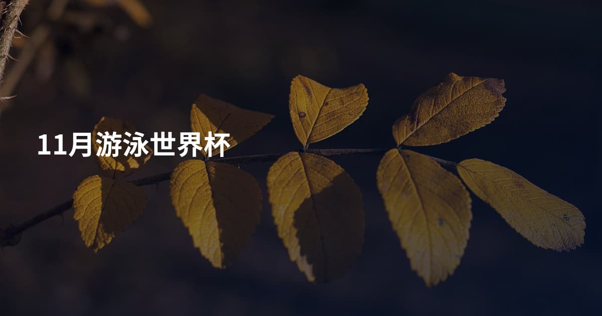11月游泳世界杯