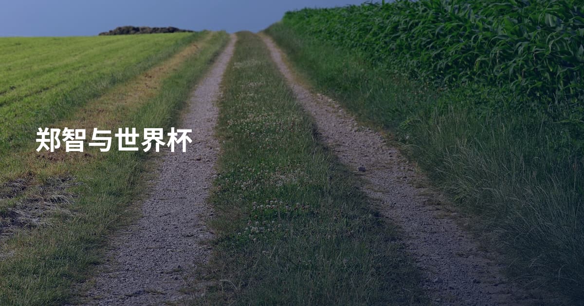 郑智与世界杯