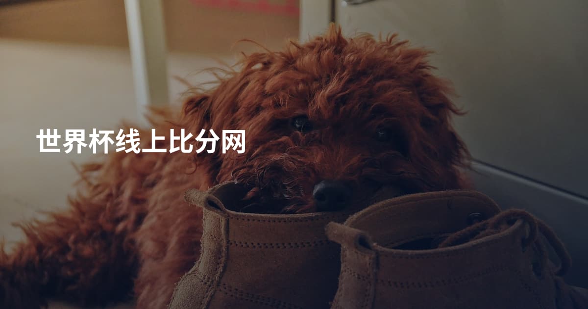 世界杯线上比分网