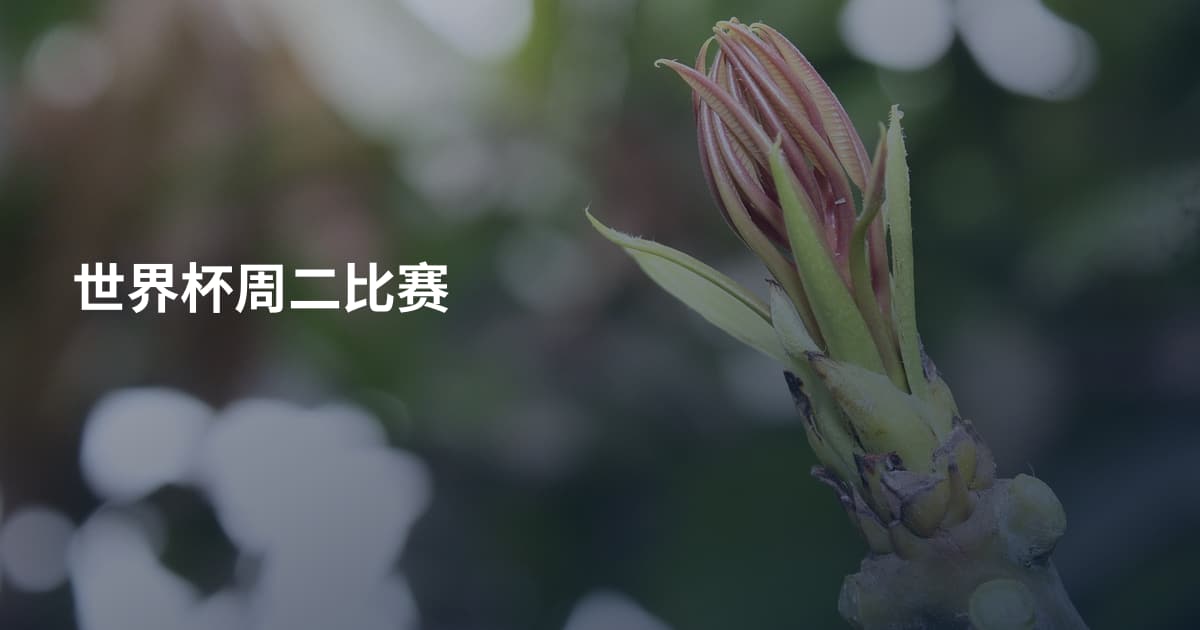 世界杯周二比赛