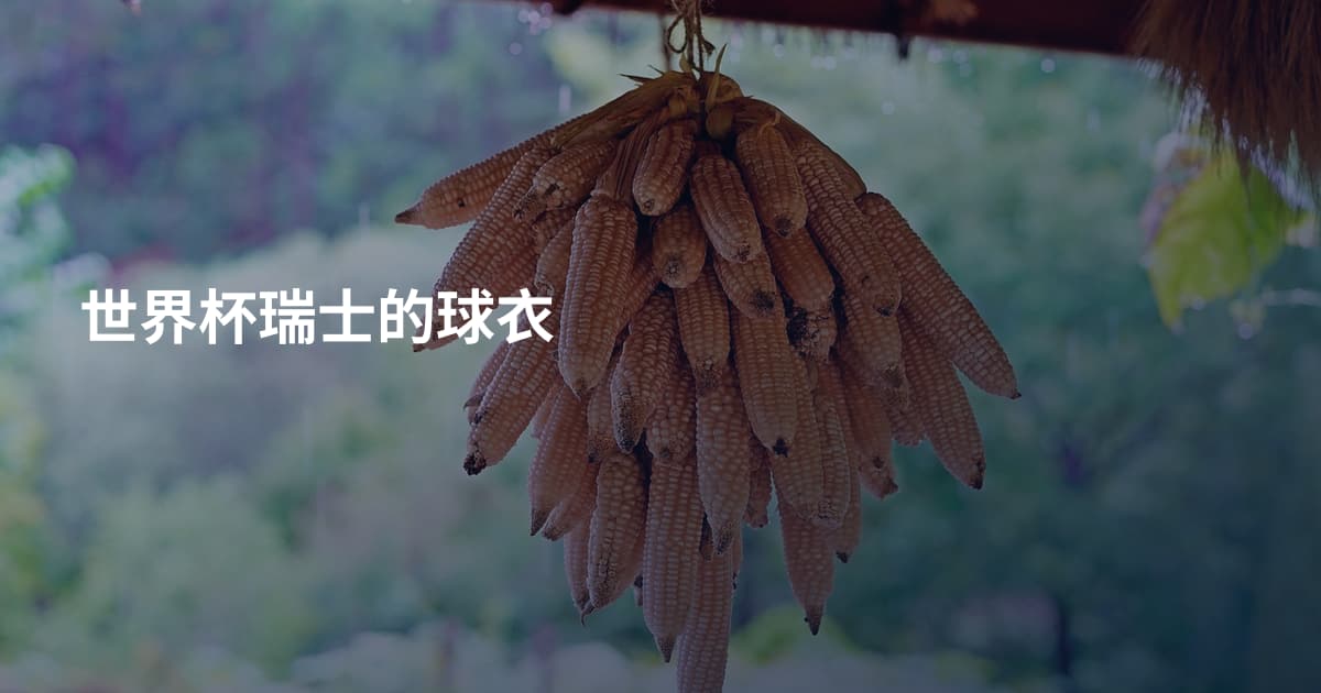 世界杯瑞士的球衣