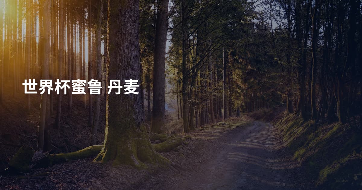 世界杯蜜鲁 丹麦