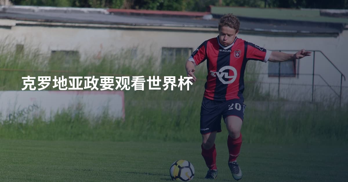 克罗地亚政要观看世界杯