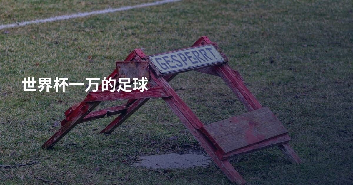 世界杯一万的足球
