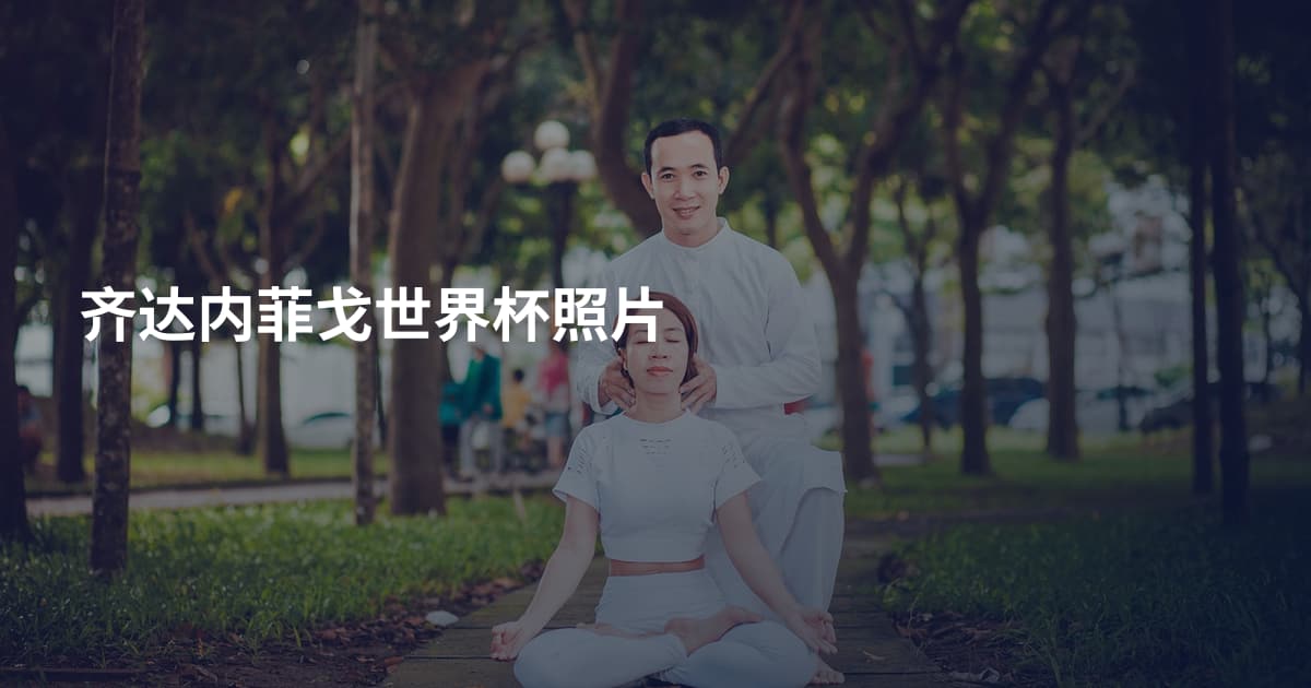 齐达内菲戈世界杯照片