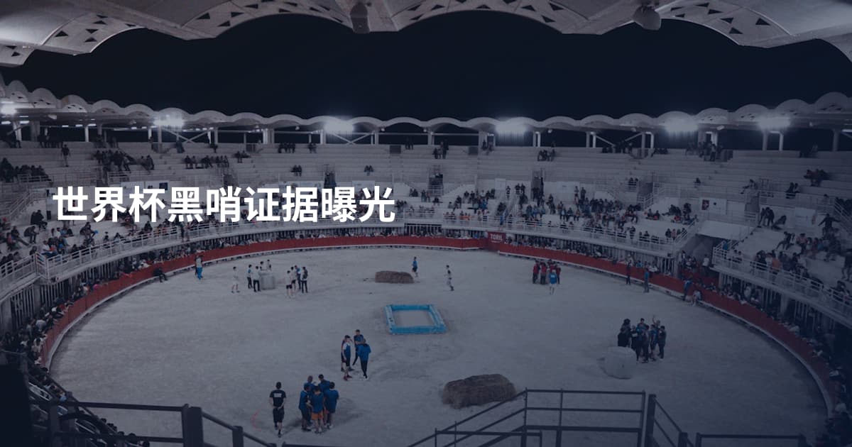世界杯黑哨证据曝光