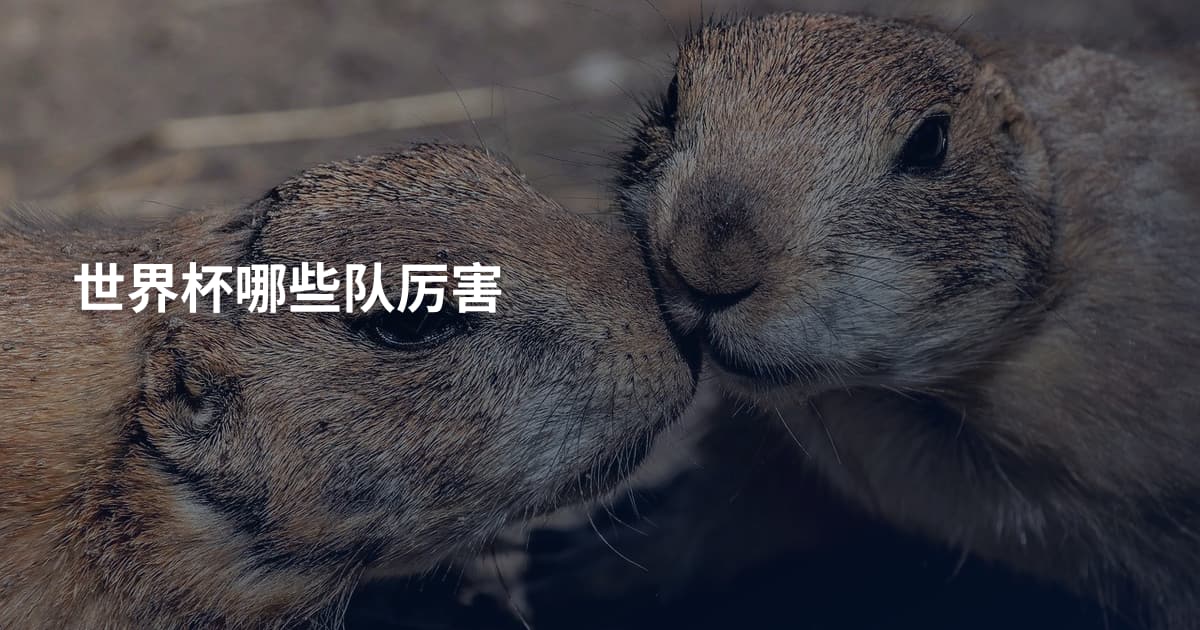 世界杯哪些队厉害