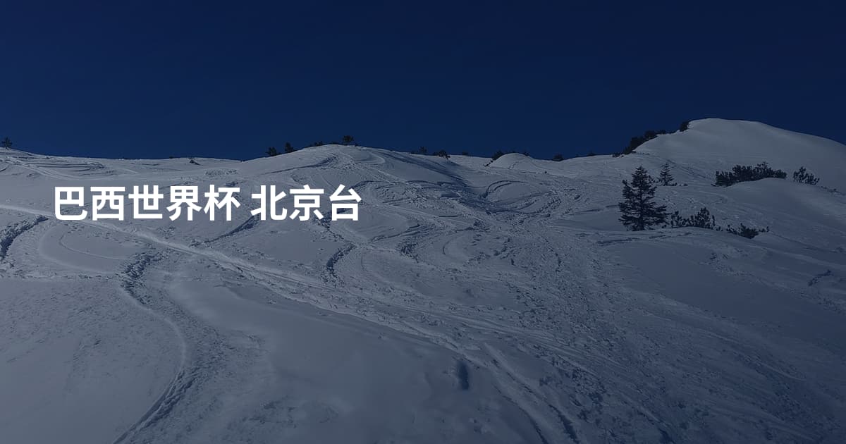 巴西世界杯 北京台