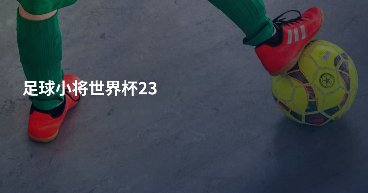 足球小将世界杯23