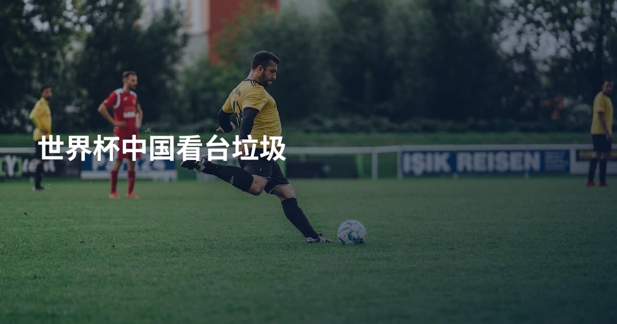 世界杯中国看台垃圾