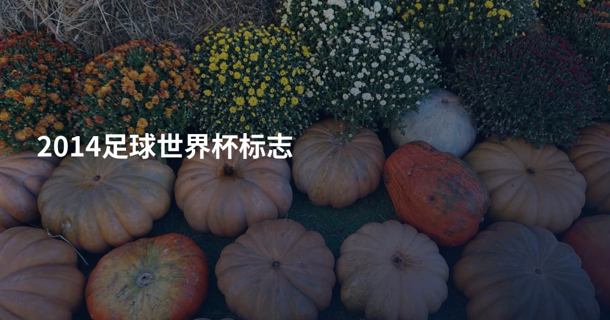 2014足球世界杯标志