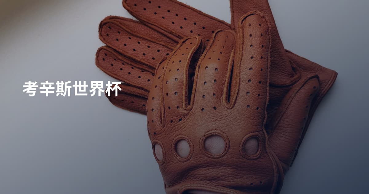 考辛斯世界杯