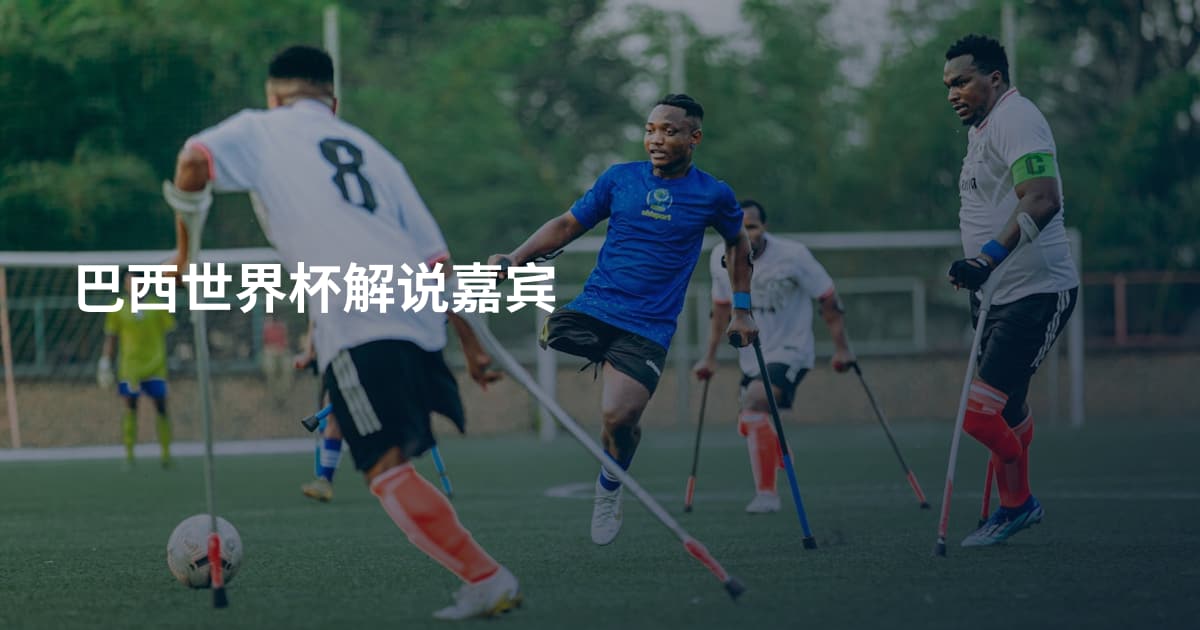 巴西世界杯解说嘉宾