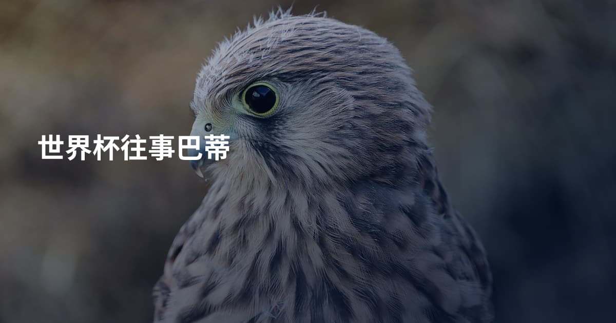 世界杯往事巴蒂