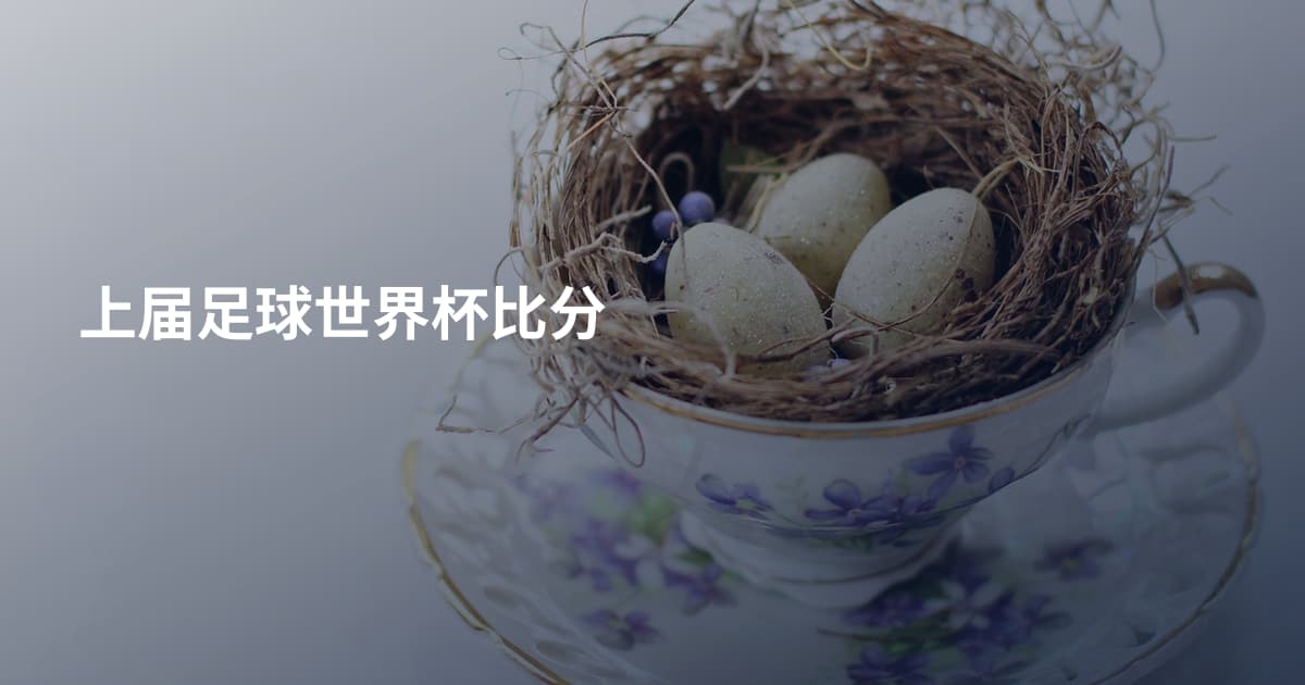 上届足球世界杯比分