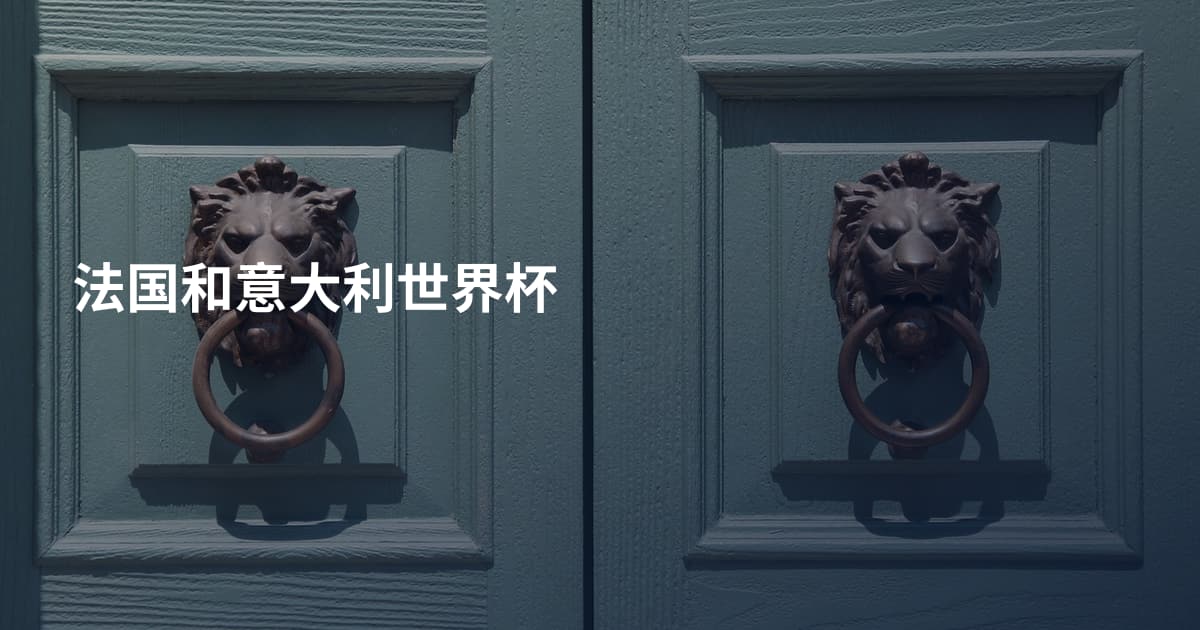 法国和意大利世界杯