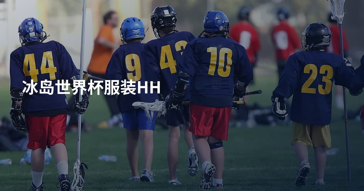 冰岛世界杯服装HH