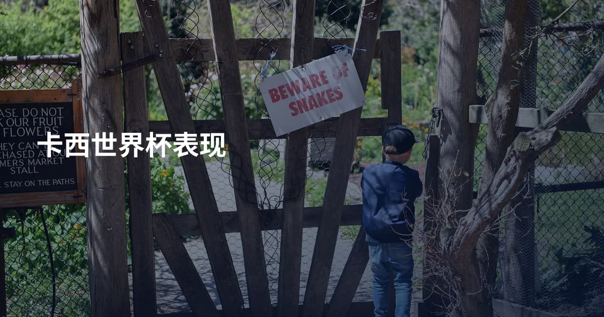 卡西世界杯表现