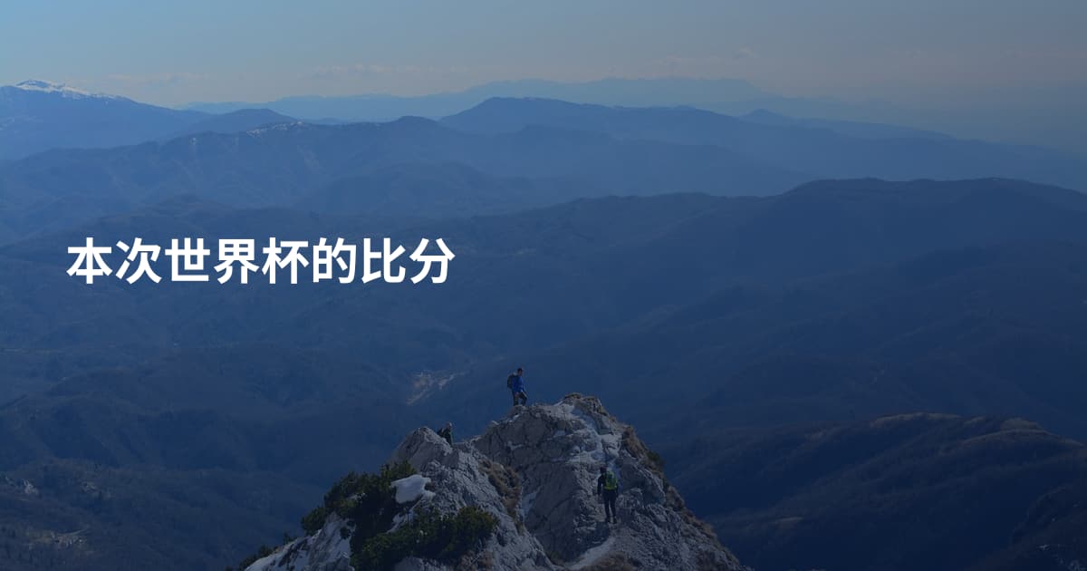 本次世界杯的比分