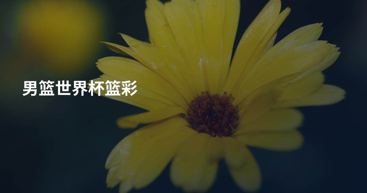 男篮世界杯篮彩