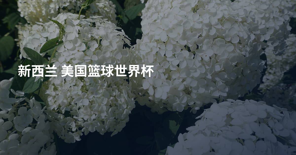 新西兰 美国篮球世界杯