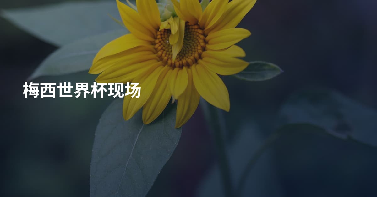 梅西世界杯现场