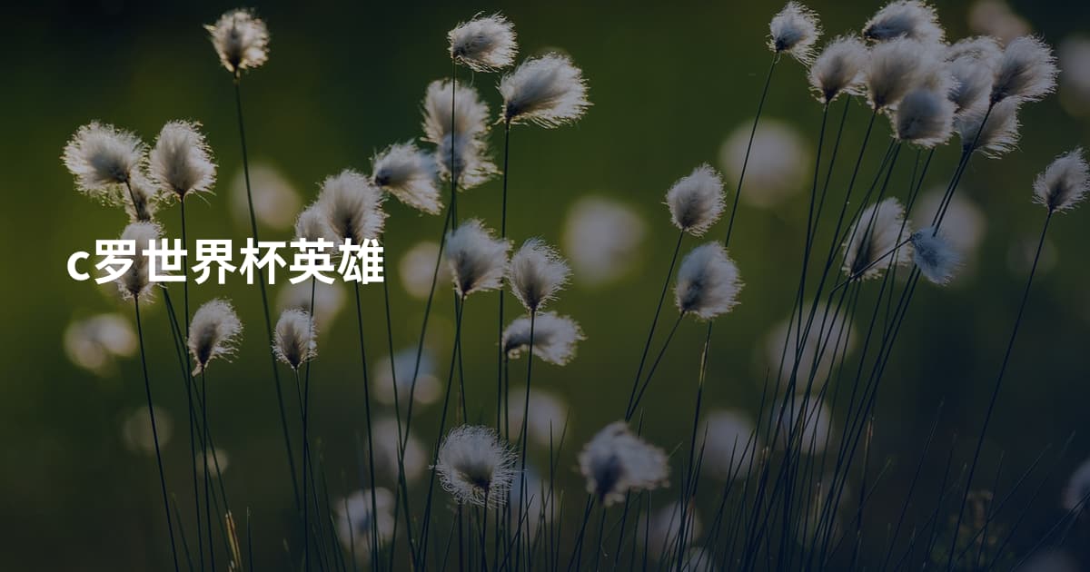 c罗世界杯英雄