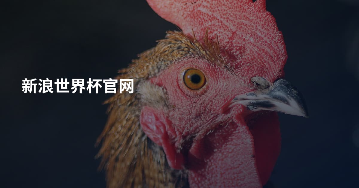 新浪世界杯官网