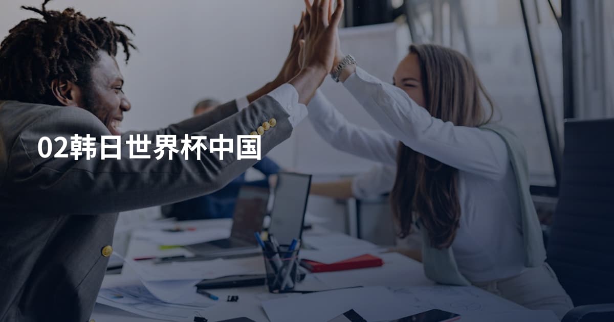 02韩日世界杯中国