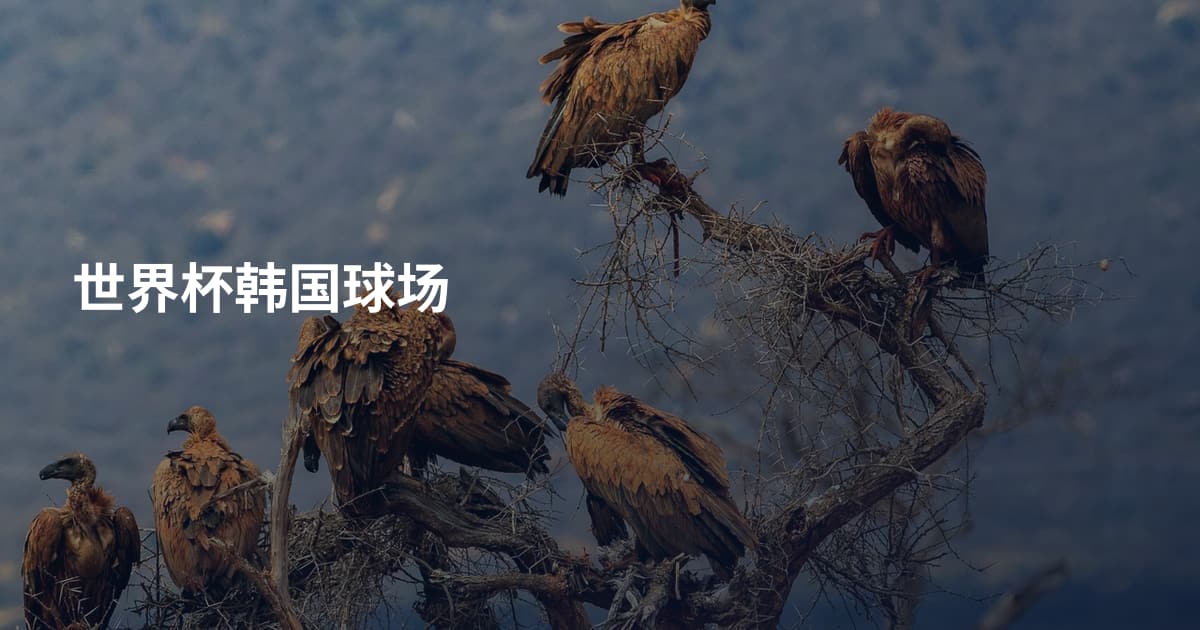 世界杯韩国球场