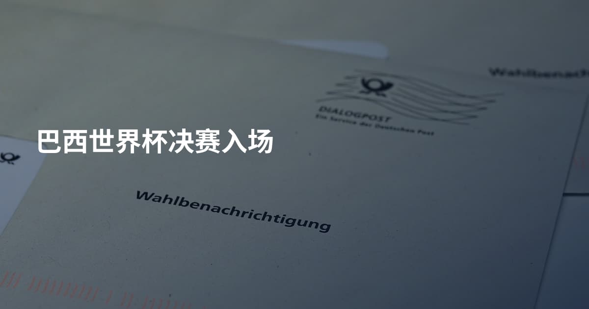 巴西世界杯决赛入场