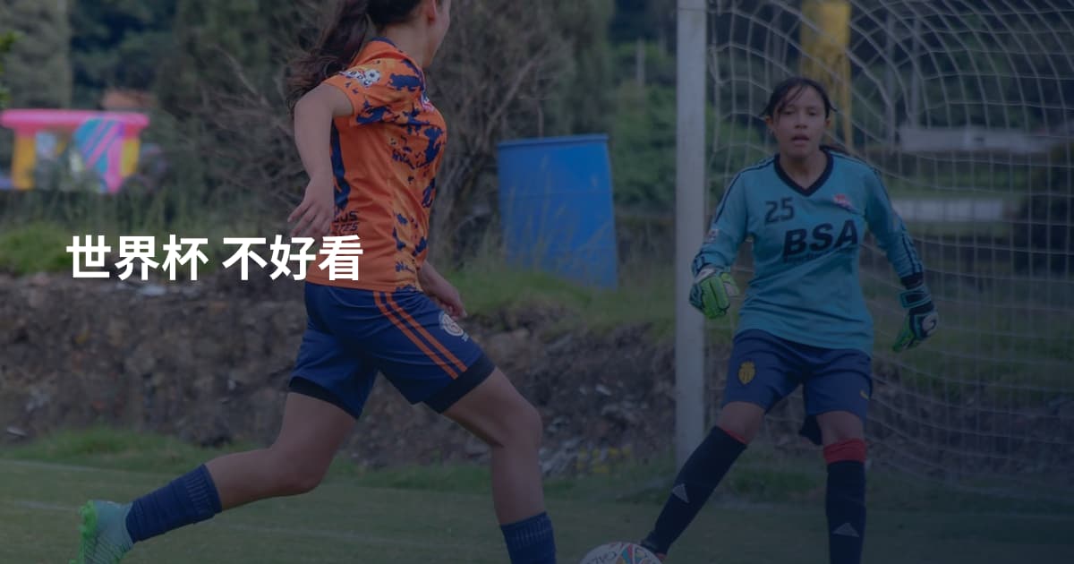 世界杯 不好看