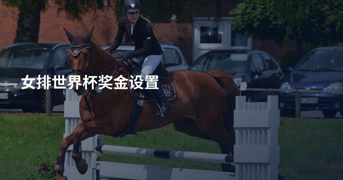 女排世界杯奖金设置