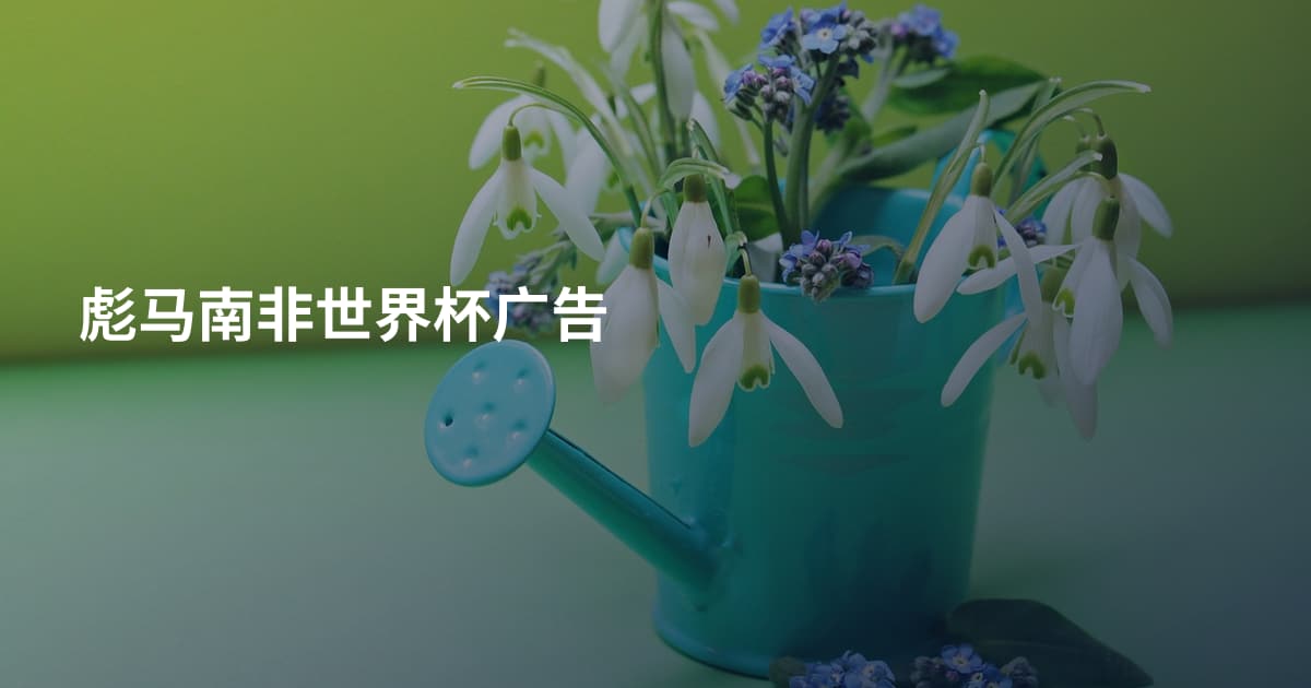 彪马南非世界杯广告